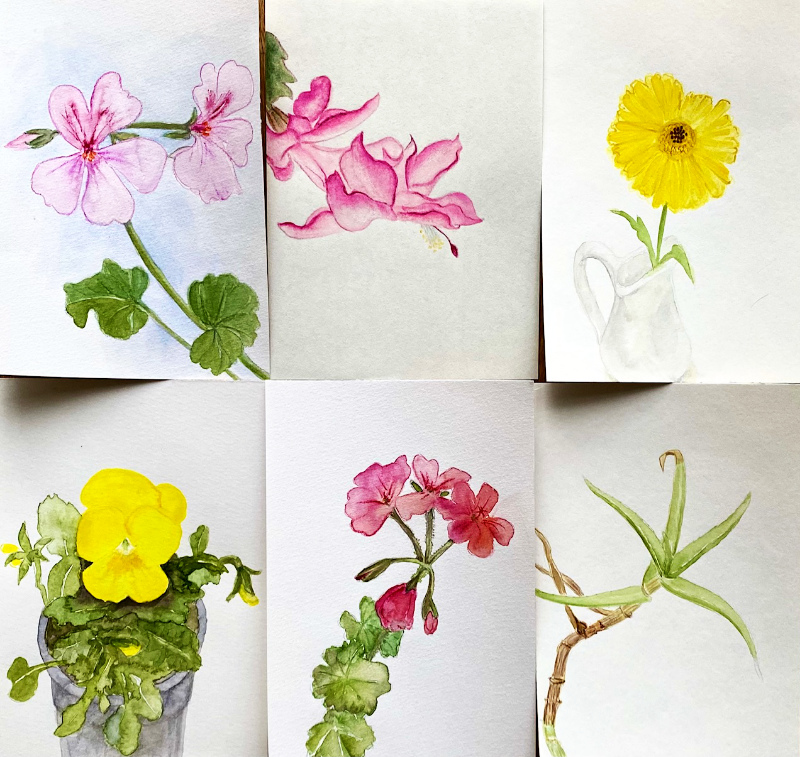 Sindel-a flower a day diary 6 of 1000s'Mischtechnik 45x42 cm.jpg